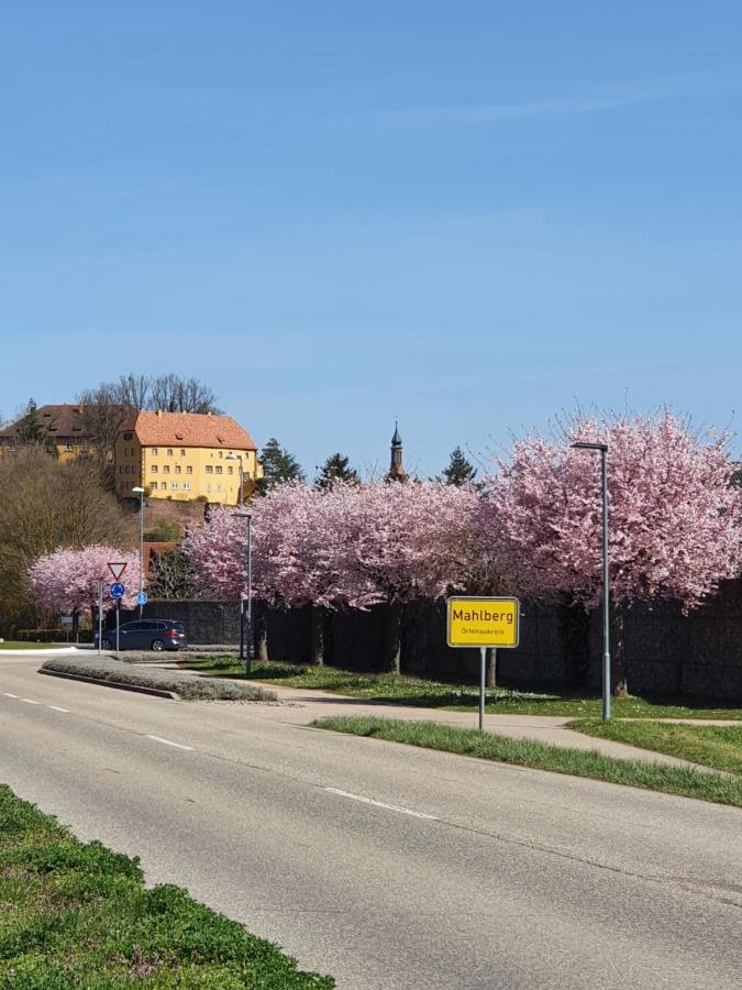Ferienwohnung Zum Schlossblick Naehe Europa Park Mahlberg Exterior photo